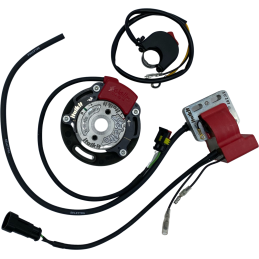 Système d'allumage de...