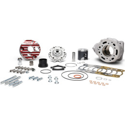 MALOSSI Kit cylindre 100cc...