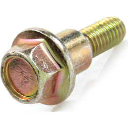 Piaggio Gilera 125cc 180cc cilinder buiten kop M6 bout, zeskant, met flens (set van 4)