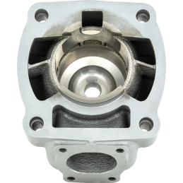 Cilinderkit 8.1 100cc voor carter 8.1 en Malossi