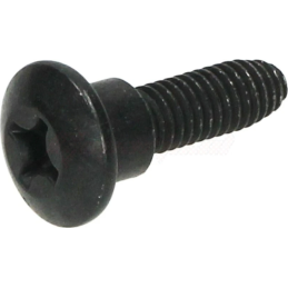 Kruiskopbout met borst M6x20 Piaggio & Gilera