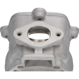 Malossi 172cc cilinder STAGE 2 tuning