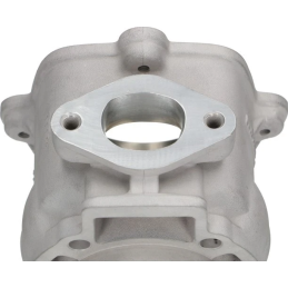 Malossi 172cc cilinder STAGE 1 tuning