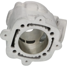 Malossi 172cc cilinder STAGE 2 tuning