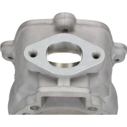 Malossi 172cc cilinder STAGE 3 tuning