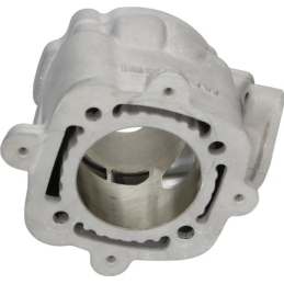 Malossi 172cc cilinder STAGE 3 tuning