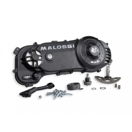 Kickstartdeksel RC-one Piaggio 2-takt Malossi 5717217