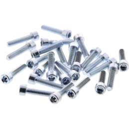 Inbusbout M6x25 verzinkt (25 stuks)