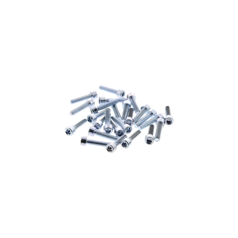 Inbusbout M6x25 verzinkt (25 stuks)