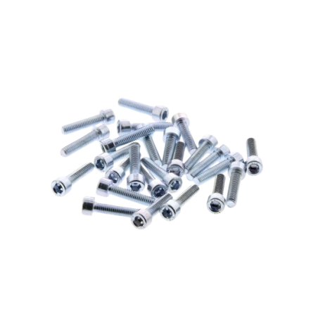 Inbusbout M6x25 verzinkt (25 stuks)