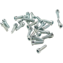 Inbusbout M6x20 verzinkt (25 stuks)