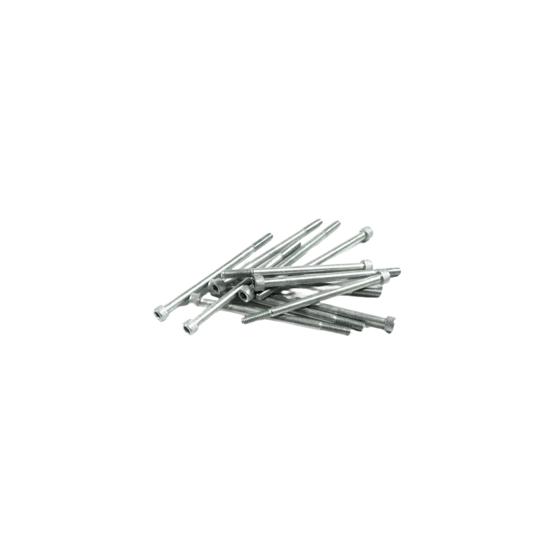 Inbusbout M6x100 verzinkt (12 stuks)