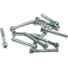 Inbusbout M6x40 verzinkt (12 stuks)