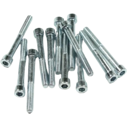 Inbusbout M6x55 verzinkt (12 stuks)