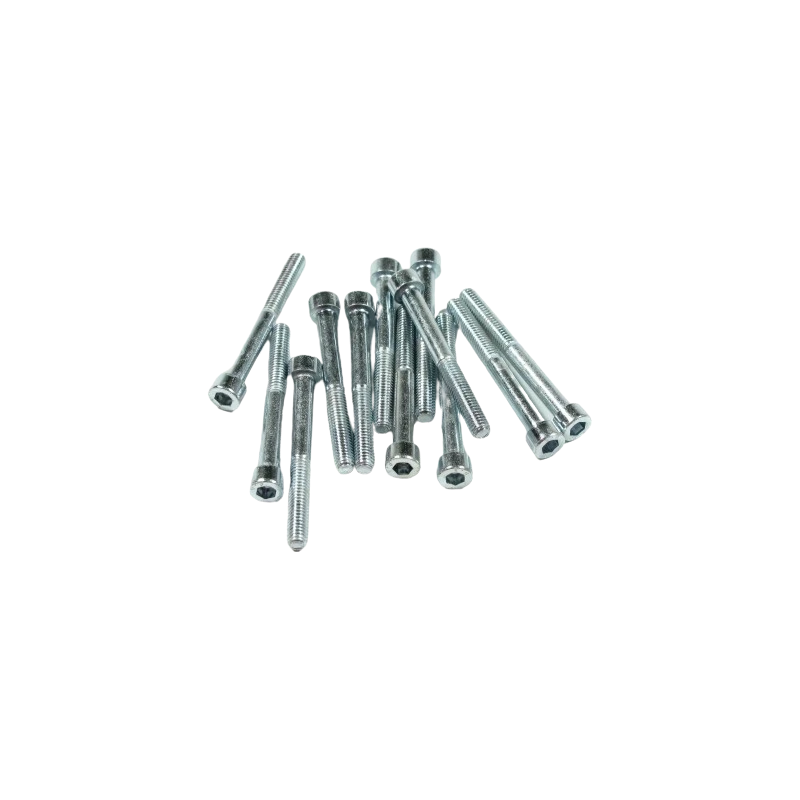 Inbusbout M6x55 verzinkt (12 stuks)