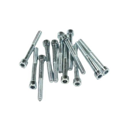 Inbusbout M6x55 verzinkt (12 stuks)