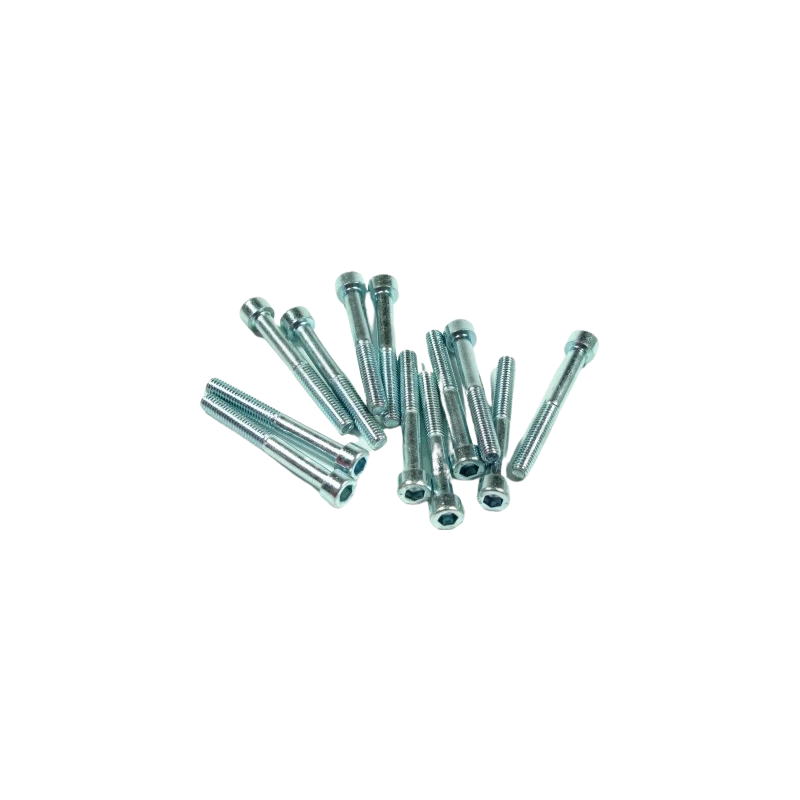 Inbusbout M6x50 verzinkt (12 stuks)