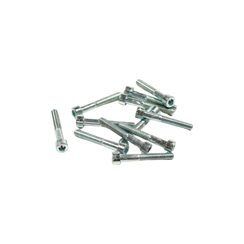Inbusbout M6x45 verzinkt (12 stuks)