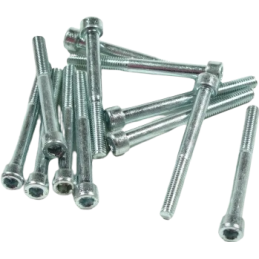 Inbusbout M6x60 verzinkt staal (12 stuks)