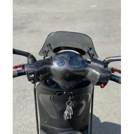 Piaggio Zip Carbon Stuurkappen