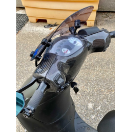Piaggio Zip Carbon Stuurkappen