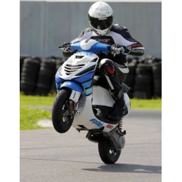 Stickerset Polini 34X48 2-Delig