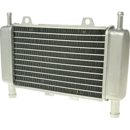 Radiateur 50cc | Gilera Runner 50cc | Gilera DNA 50 | Piaggio Zip SP2 Origineel 299389