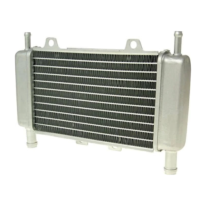 Radiateur 50cc | Gilera Runner 50cc | Gilera DNA 50 | Piaggio Zip SP2 Origineel 299389