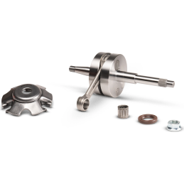 Malossi MHR Team 100cc krukas pin ø14 drijfstang 100mm slag 47 mm