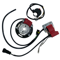 Allumage de compétition